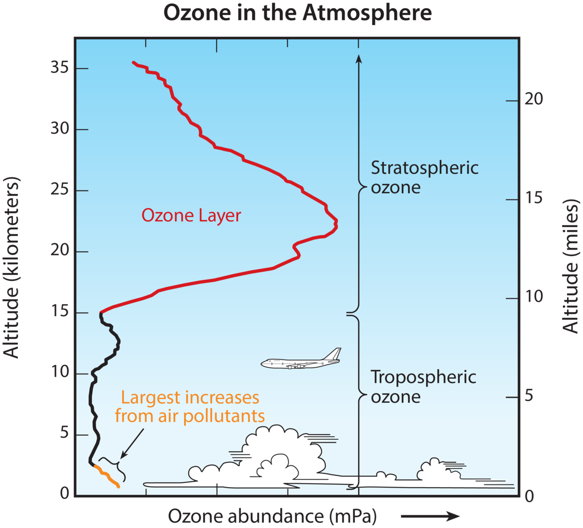 Vertical ozone distribution